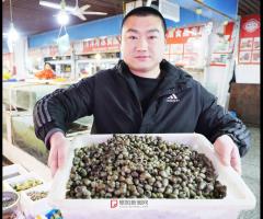 春季“嗦螺”正当时